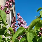 Tona * Nenadici (Krk)