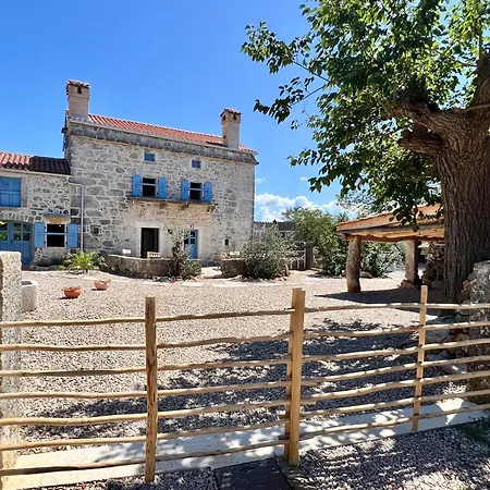 Tona Nenadici (Krk)