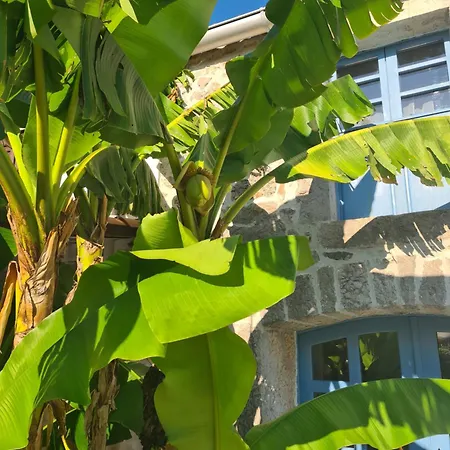 Tona Villa *